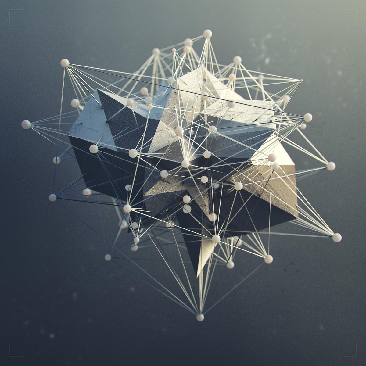 311_365_0005